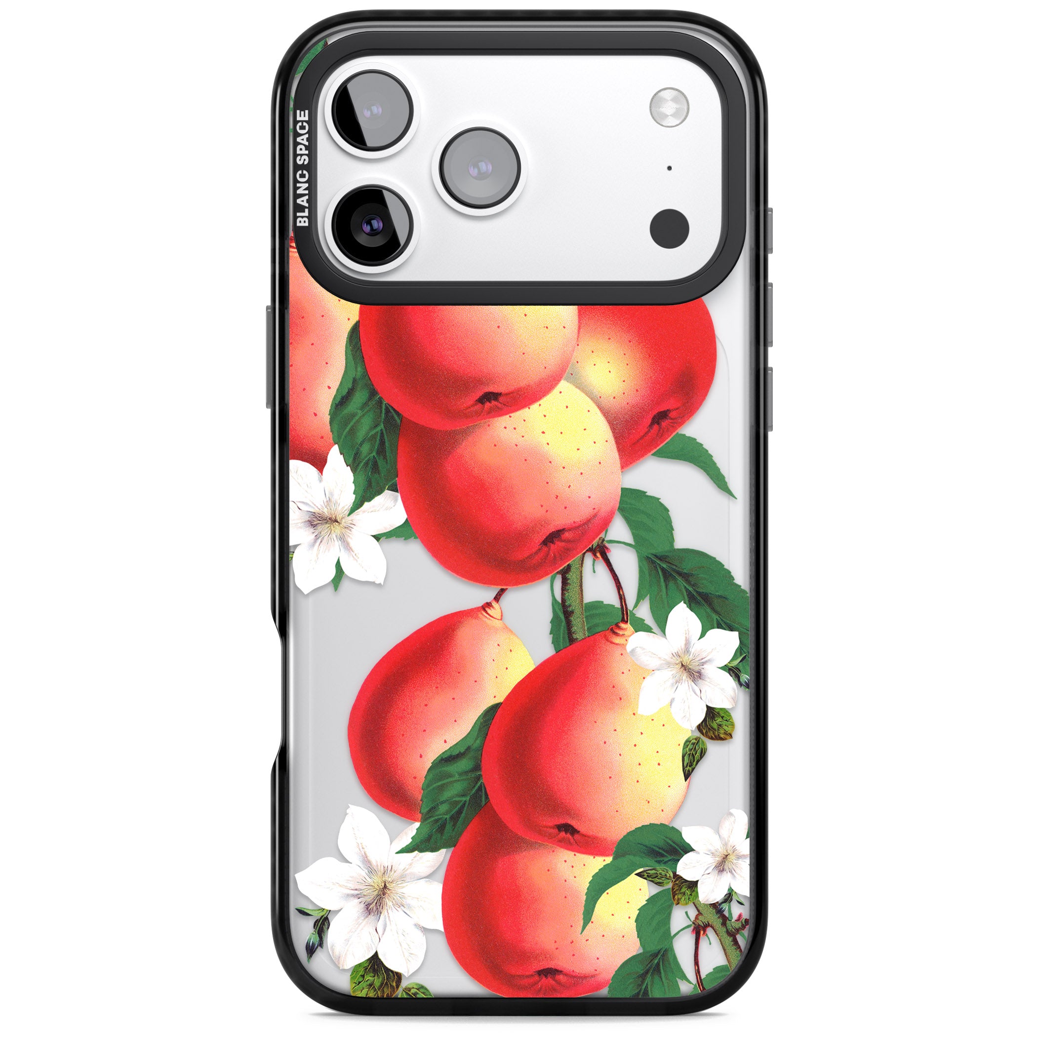 Vintage Painted Peaches iPhone 17 Pro Impact Black Phone Case