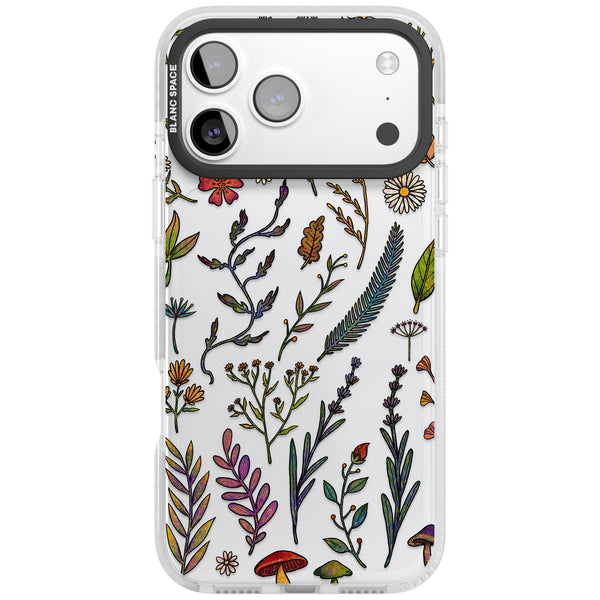 Autumn Wildflowers
