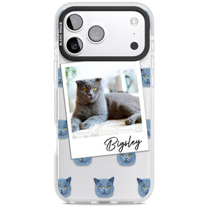 Personalised English Blue Cat Photo