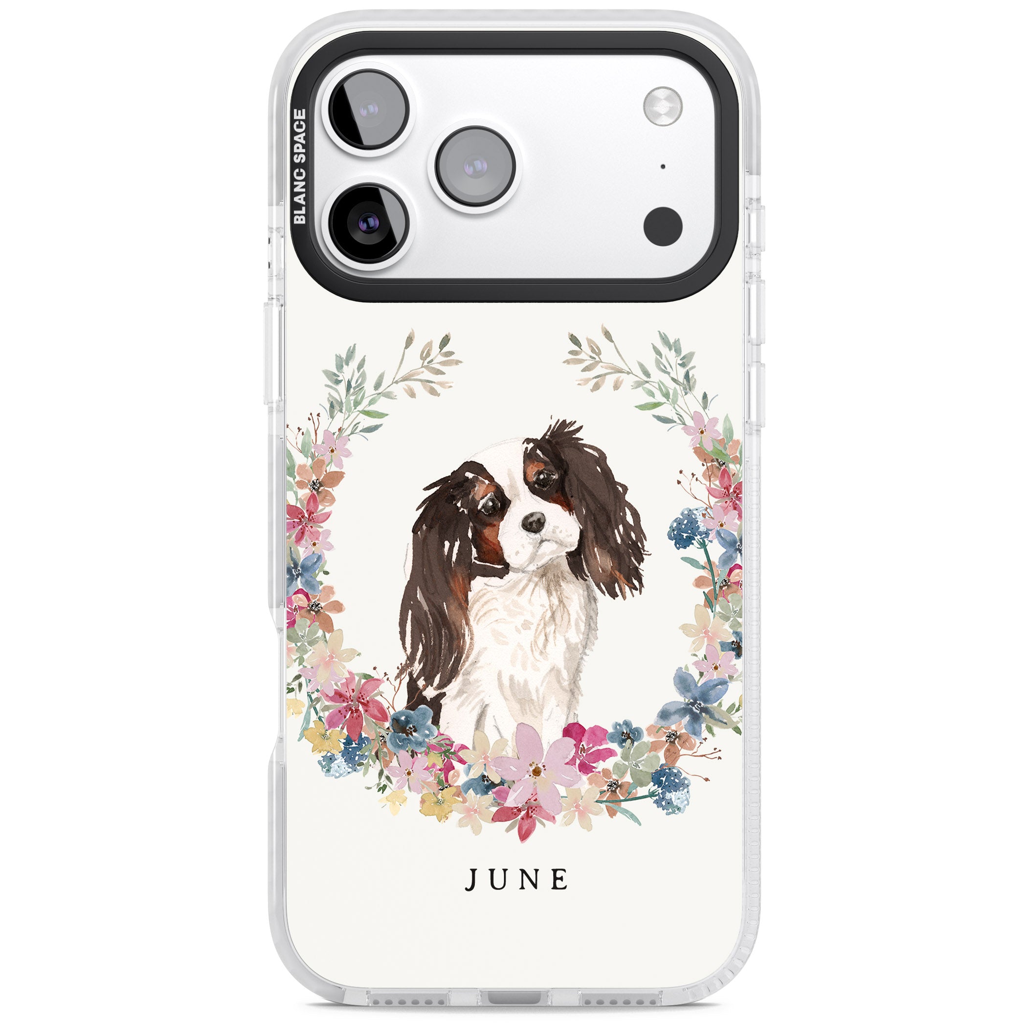 Personalised King Charles Floral Portrait iPhone 17 Pro Impact Clear Phone Case