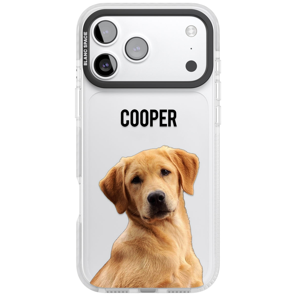 Personalised Pet Cutout & Name iPhone 17 Pro Max Impact Clear Phone Case front