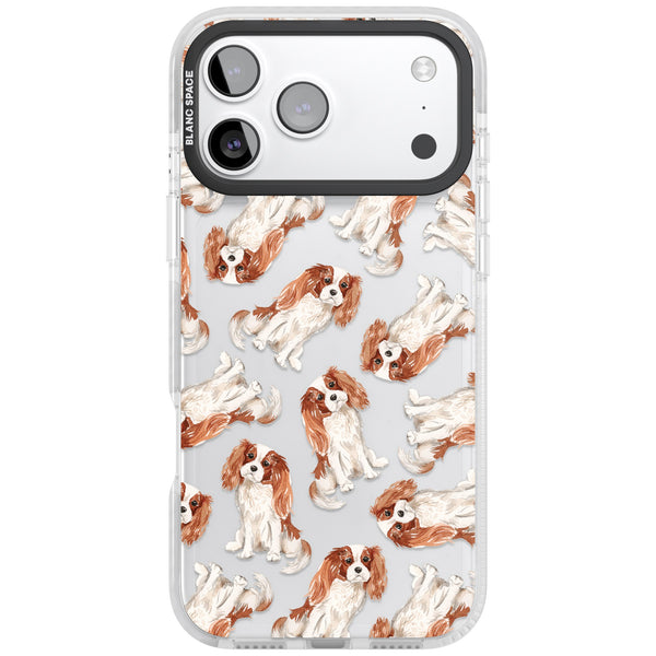 Cavalier King Charles Spaniel