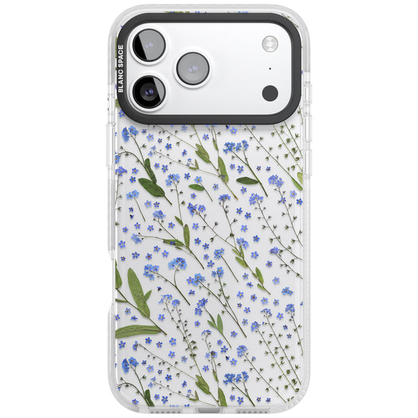Blue Meadow