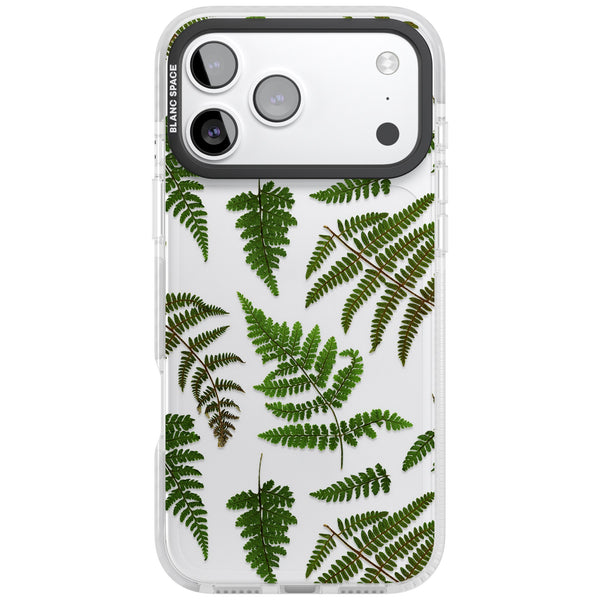 Leafy Ferns