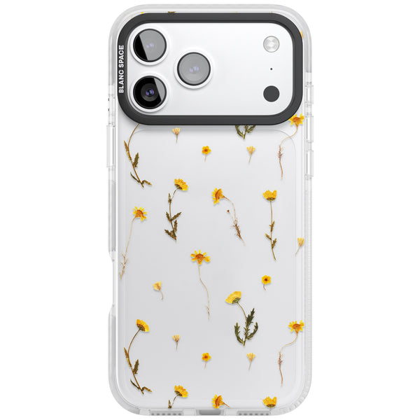 Yellow Wildflower