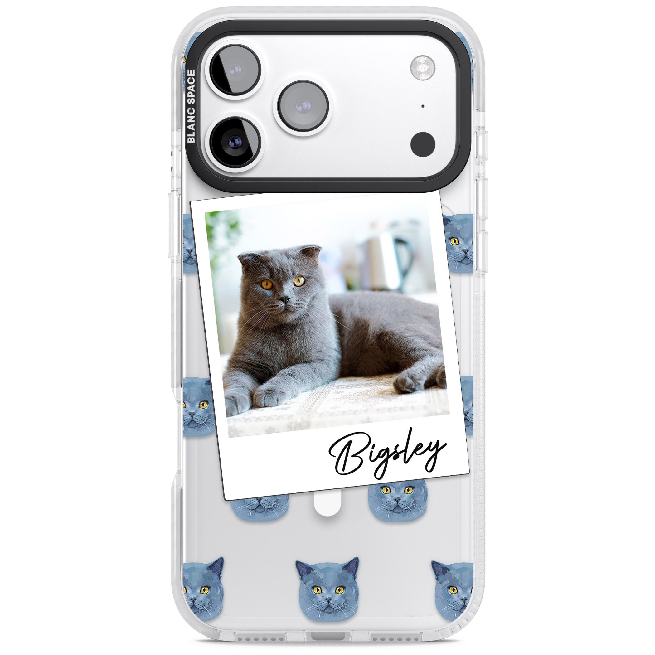 Personalised English Blue Cat Photo iPhone 17 Pro Impact Pro Clear Phone Case