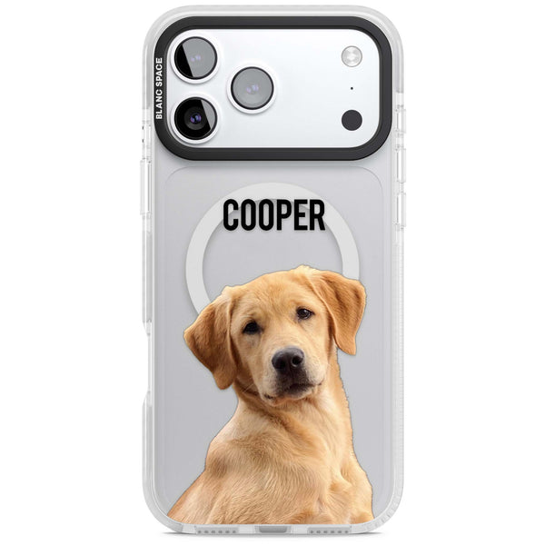 Personalised Pet Cutout & Name