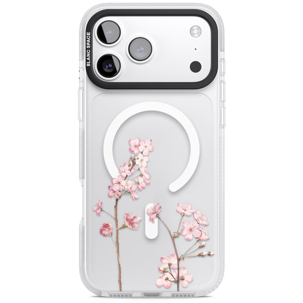 Blossom Flower