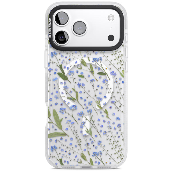 Blue Meadow