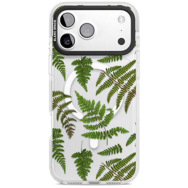 Leafy Ferns