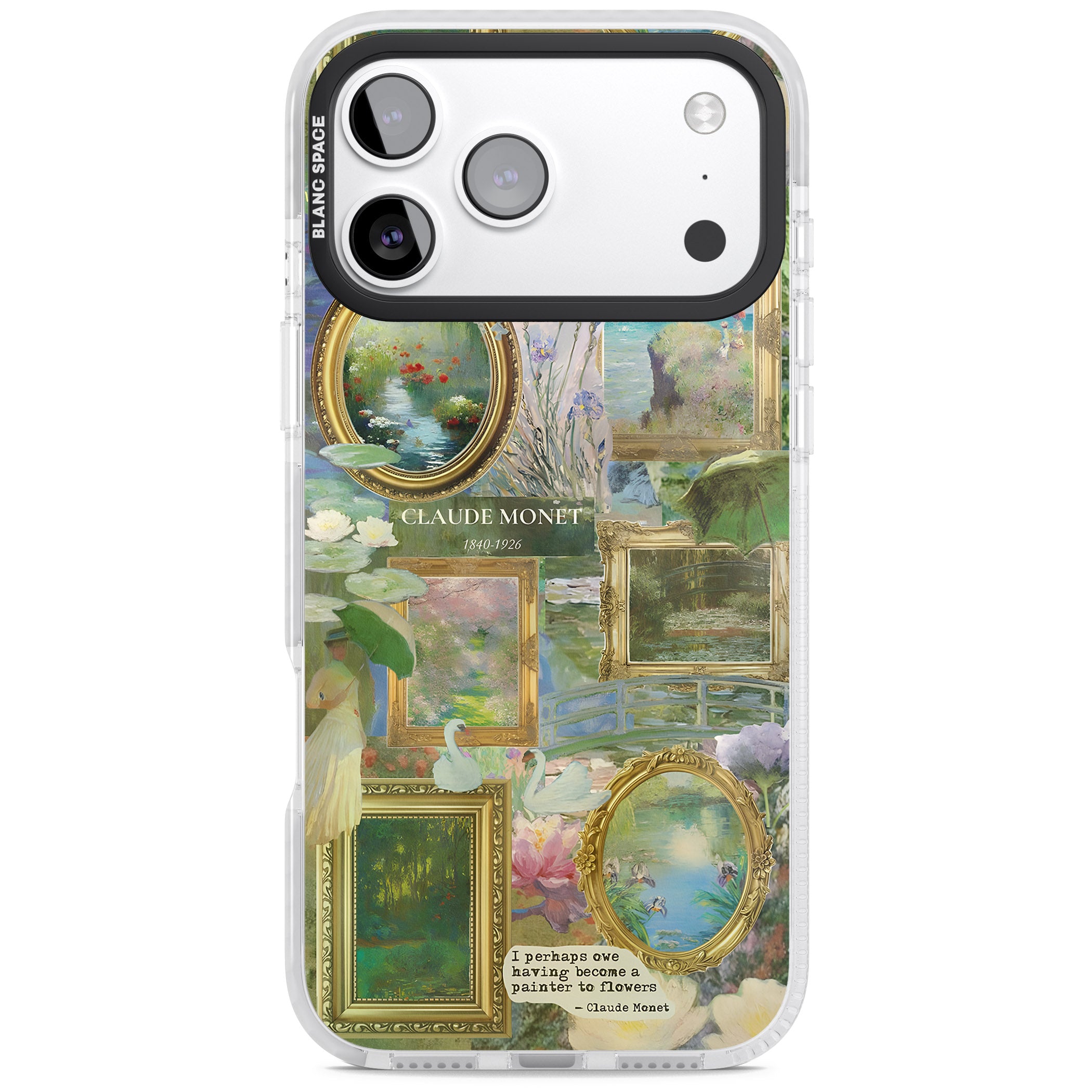 Vintage Floral Frames iPhone 17 Pro Impact Pro Clear Phone Case