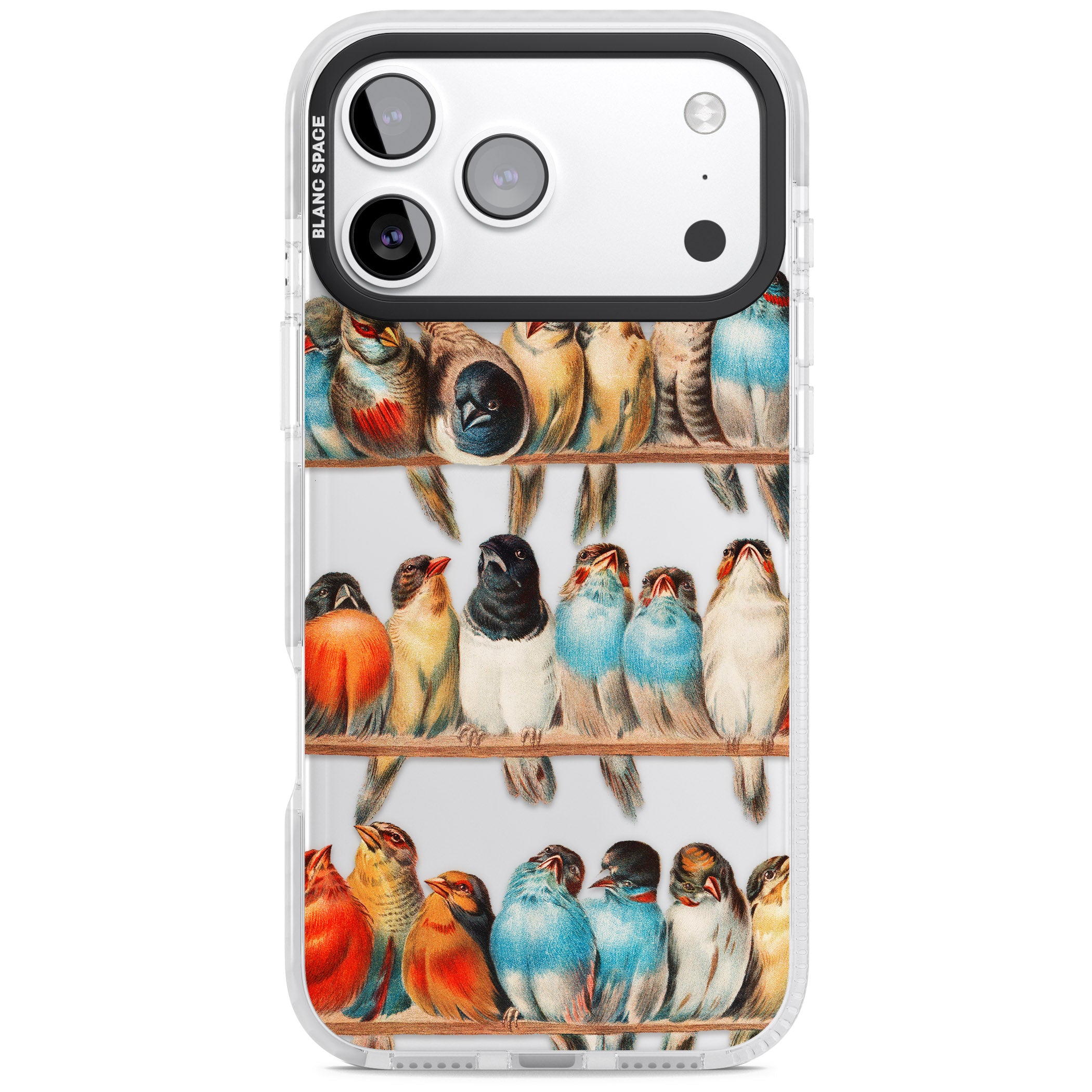 A Perch Of Birds iPhone 17 Pro Impact Clear Phone Case
