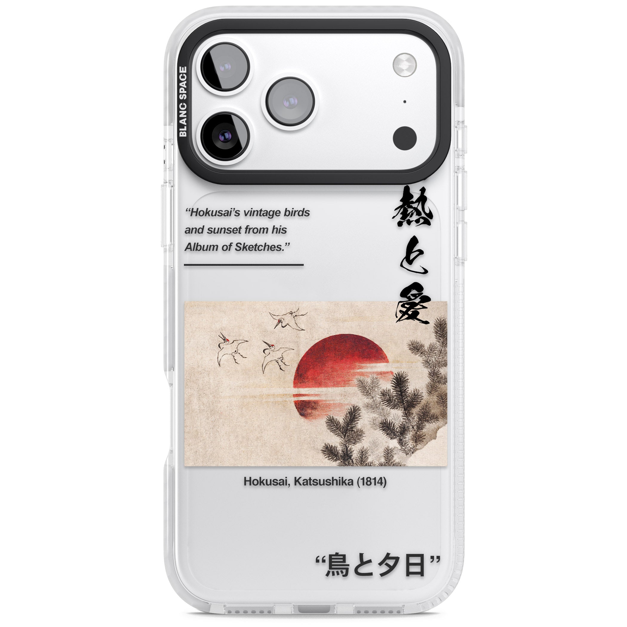 Birds And Sunset iPhone 17 Pro Impact Clear Phone Case