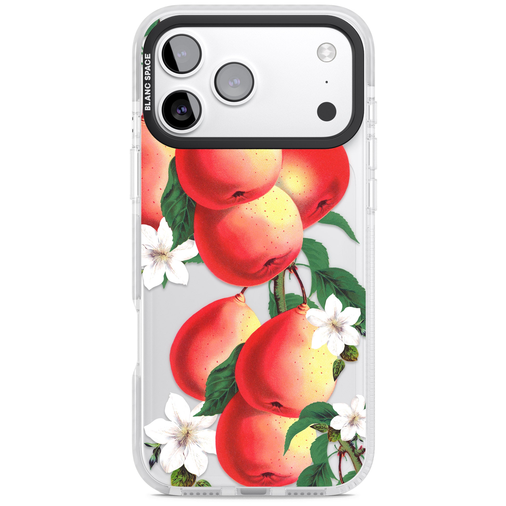 Vintage Painted Peaches iPhone 17 Pro Impact Clear Phone Case