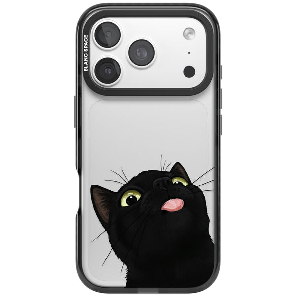 Black Cat Energy