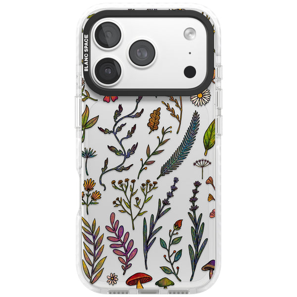 Autumn Wildflowers
