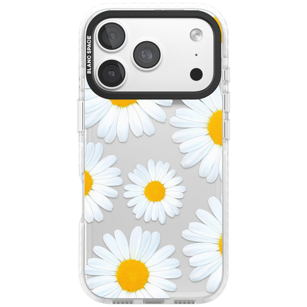 Summer Daisy