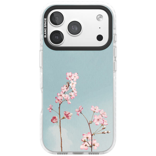 Blossom Flower Sky