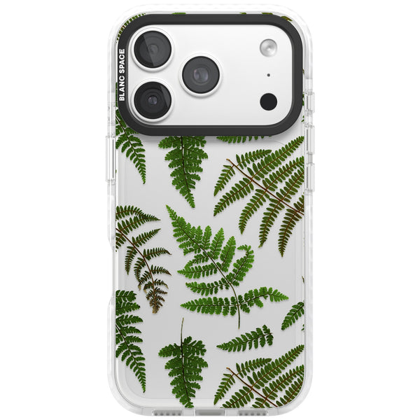 Leafy Ferns