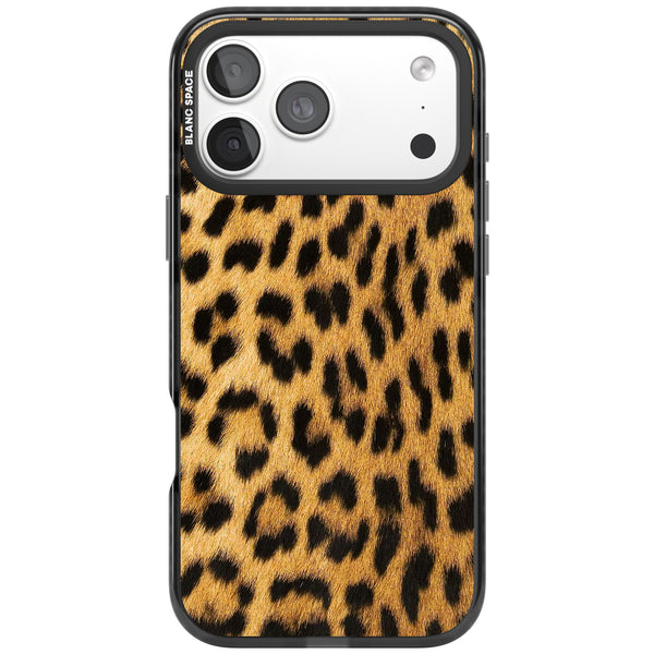 Savannah Leopard