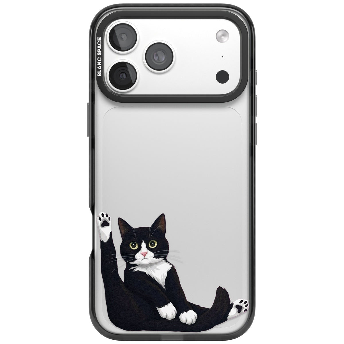 Mid-Groom Cat iPhone 18 Pro Max Impact Black Phone Case front