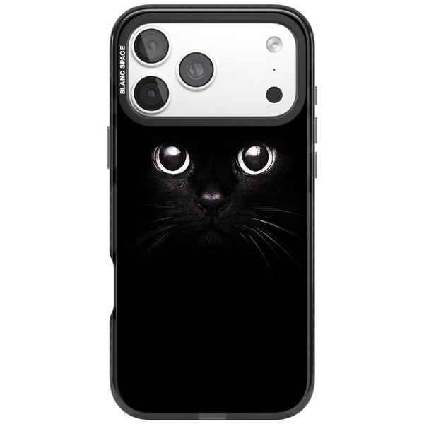 Black Cat