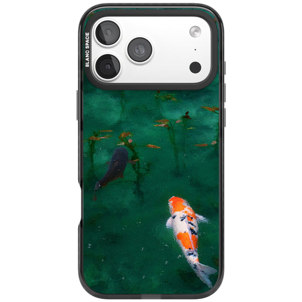 Koi Fish