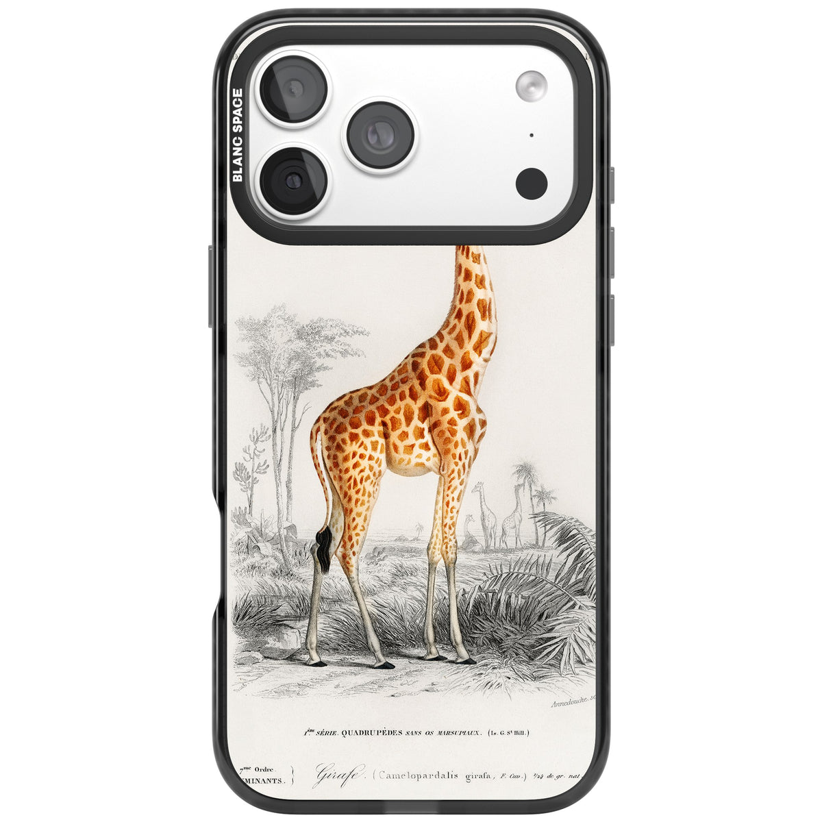 Savanna Sketch iPhone 18 Pro Max Impact Pro Black Phone Case front