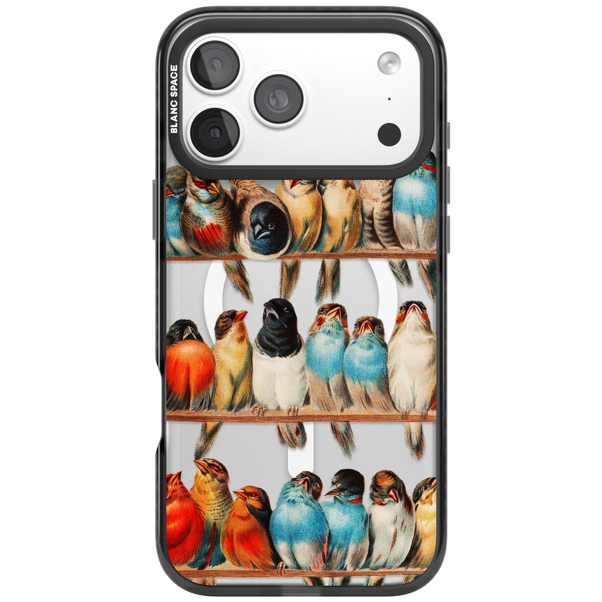 A Perch Of Birds iPhone 18 Pro Max Impact Pro Black Phone Case front