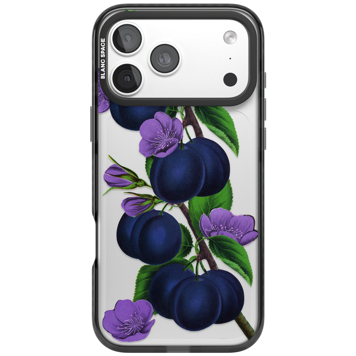 Vintage Painted Plums iPhone 18 Pro Max Impact Black Phone Case front