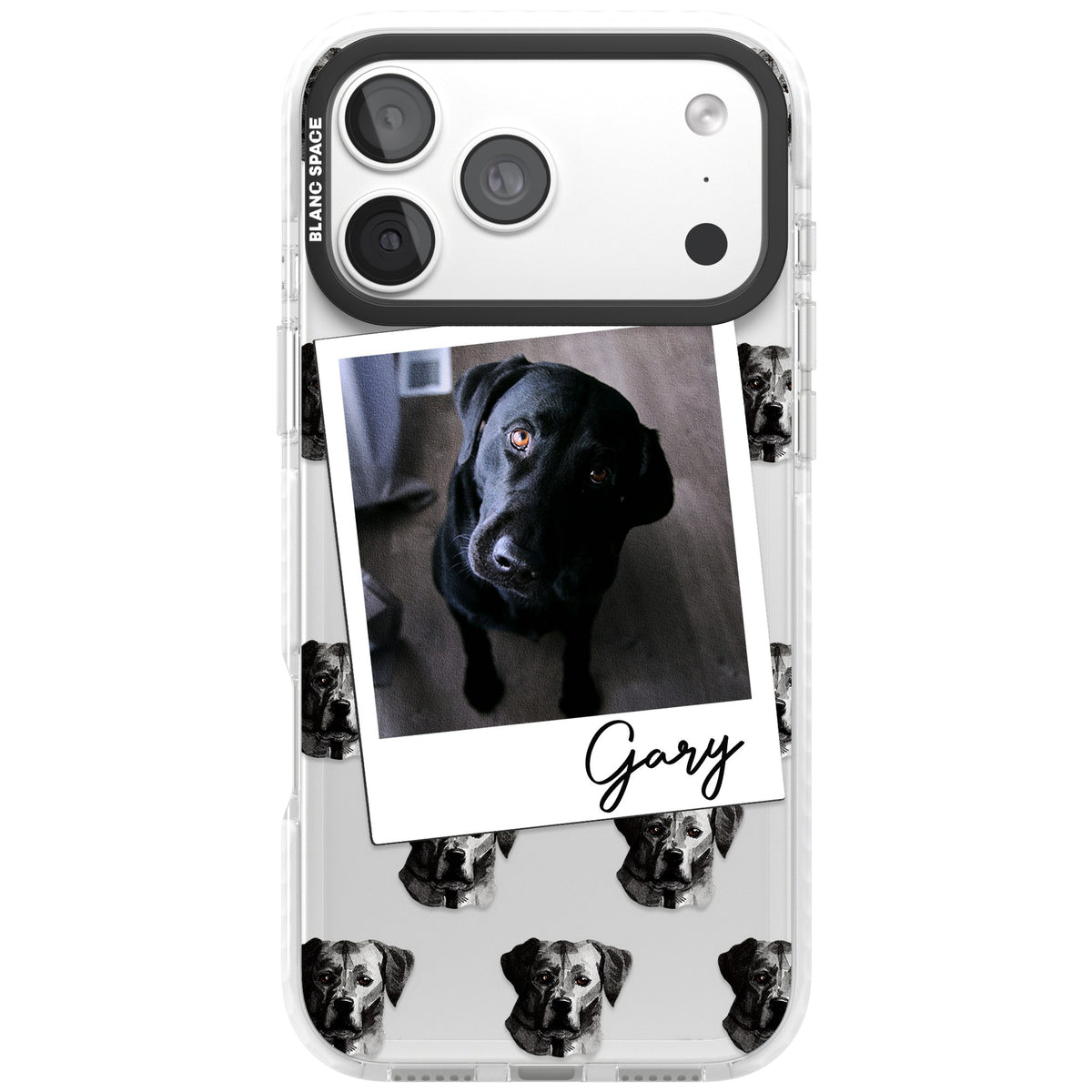 Personalised Black Labrador Instant Camera Photo iPhone 18 Pro Max Impact Clear Phone Case front