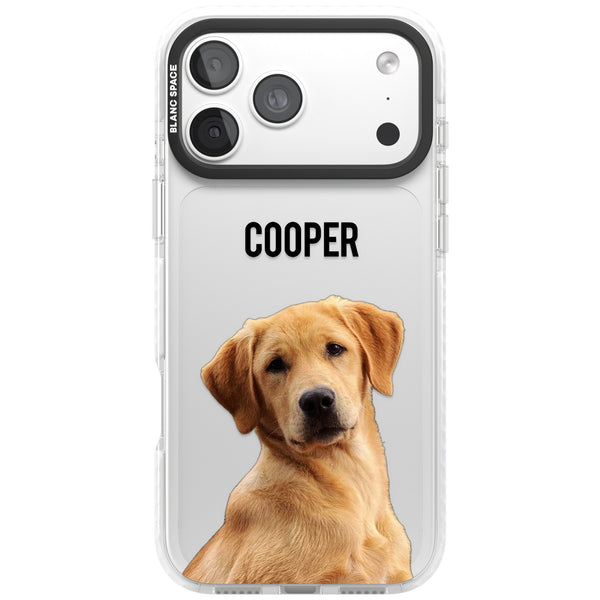 Personalised Pet Cutout & Name