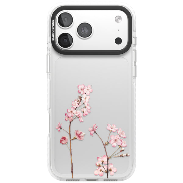 Blossom Flower