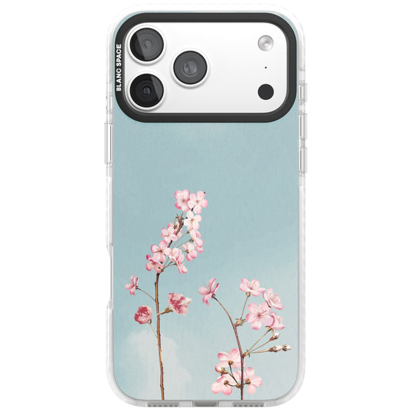Blossom Flower Sky