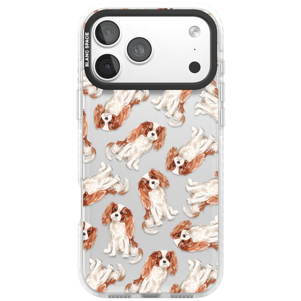 Cavalier King Charles Spaniel
