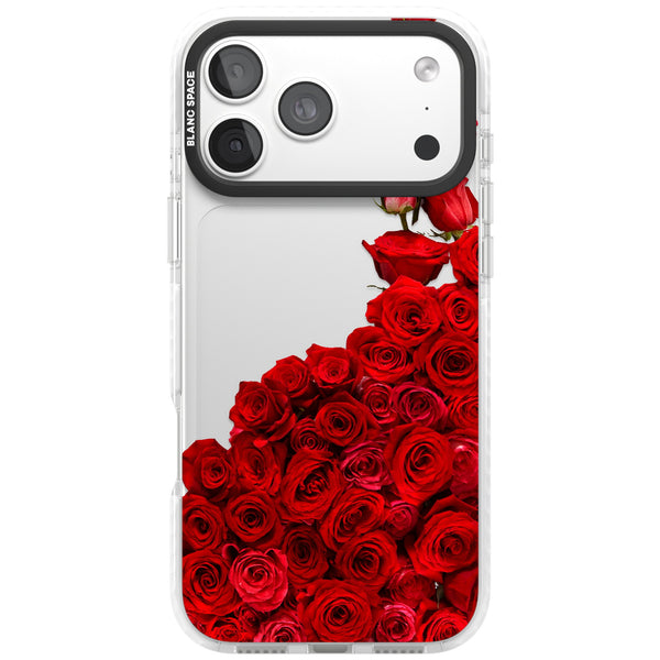 Rose Avalanche