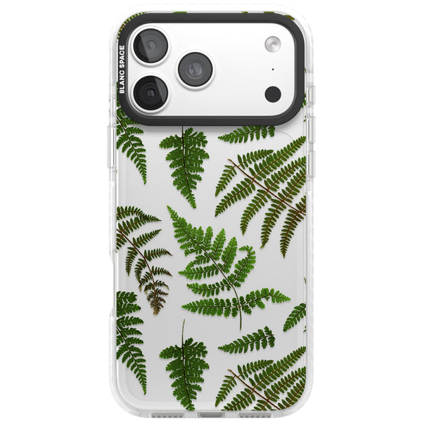 Leafy Ferns