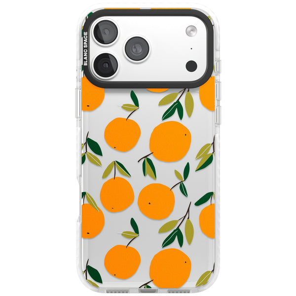 Citrus Grove