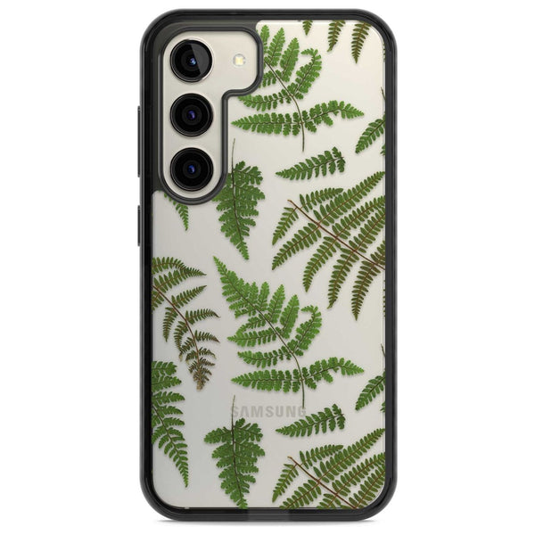 Leafy Ferns