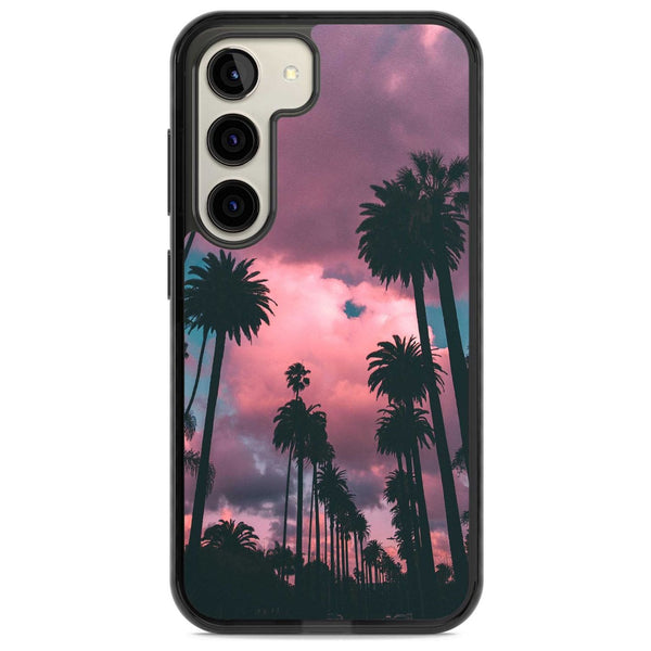 Sunset Palms