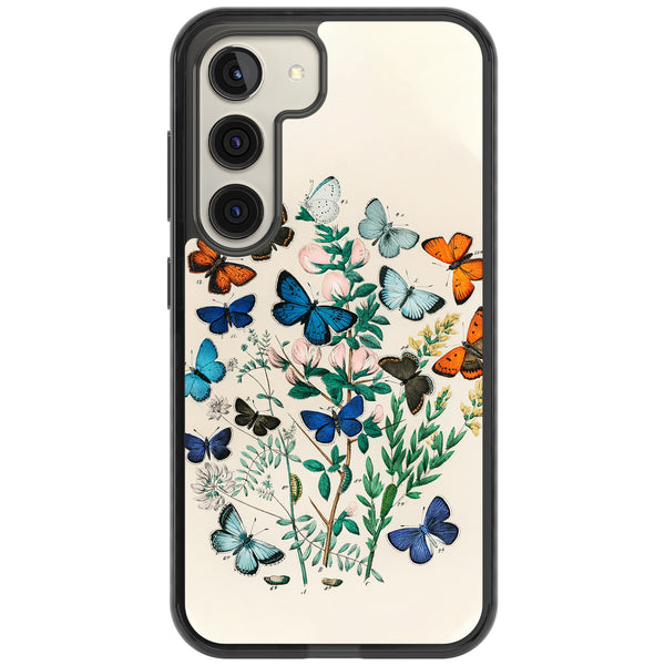 European Butterflies