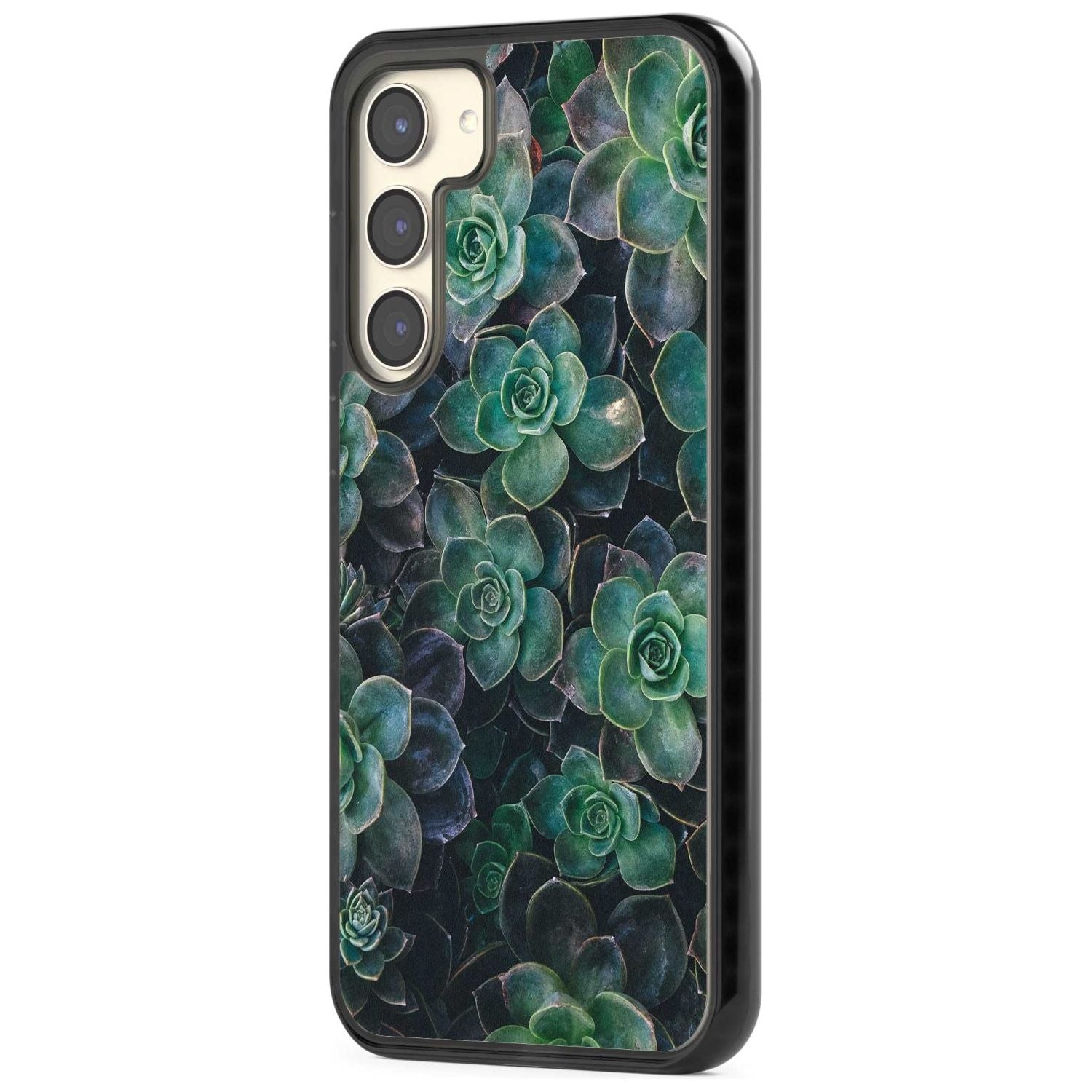 Succulent Bloom Botanical