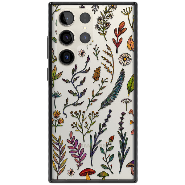 Autumn Wildflowers