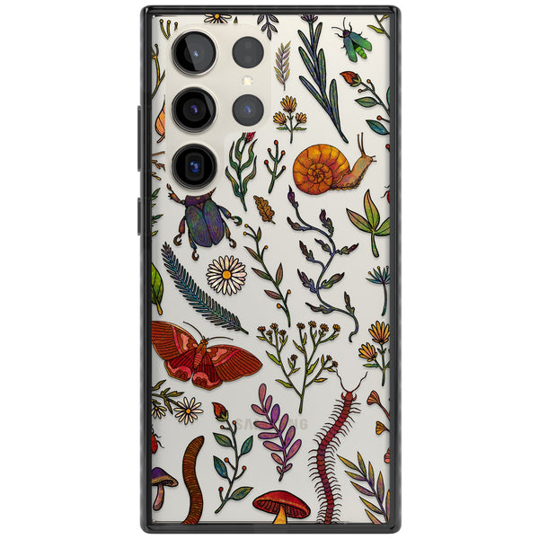 Bugs & Wildflowers