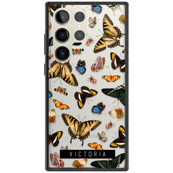 Personalised Butterfly Archive