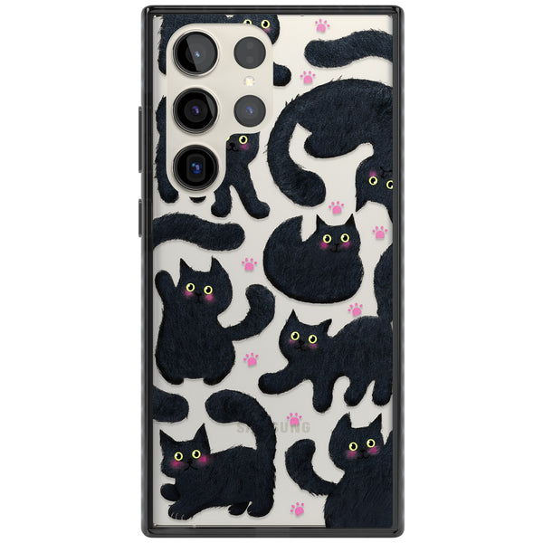 Midnight Cats