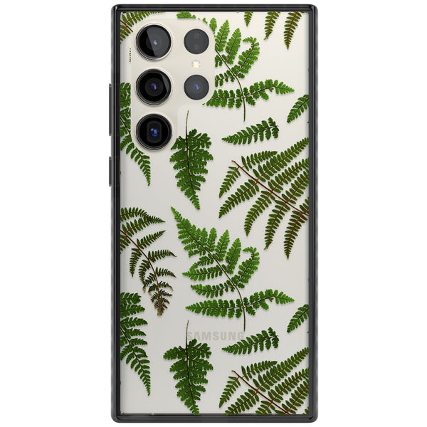Leafy Ferns