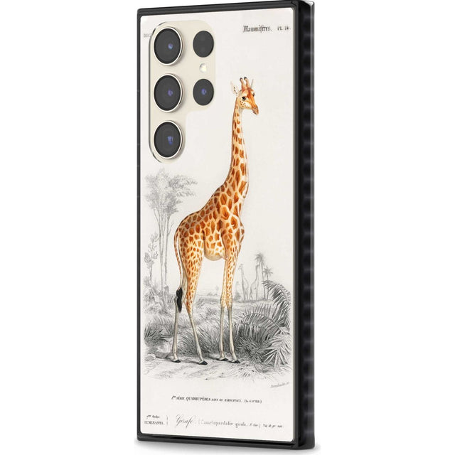 Vintage Girafe Art
