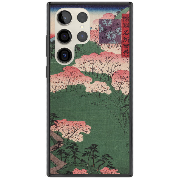 Japanese Cherry Blossom Forest