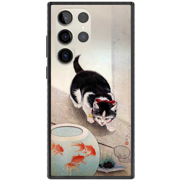 Cat & Goldfish Bowl